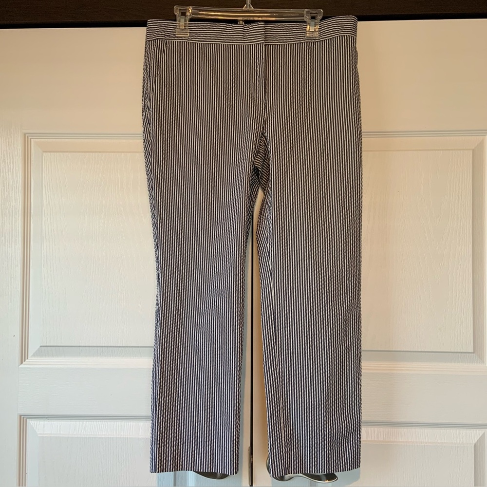 Ann Taylor the Devin Fit Blue Pinstripe Womens Size 10 Ankle/Capri Pant, coastal